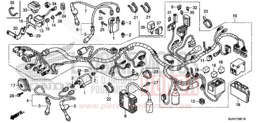 WIRE HARNESS (VT750C2B/C) VT750C2BE de 2014